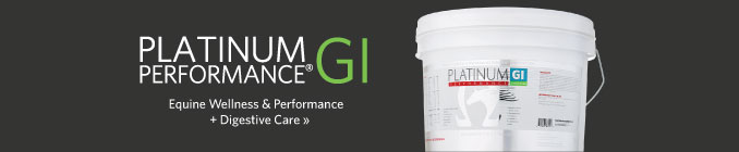 Platinum Performance GI - Equine Wellness and Performance plus Digestive Care
