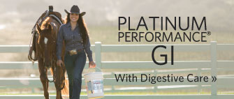 Platinum Performance GI - With Digestive Care