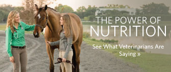 The Power of Nutrition - See What Veterinarians are Saying